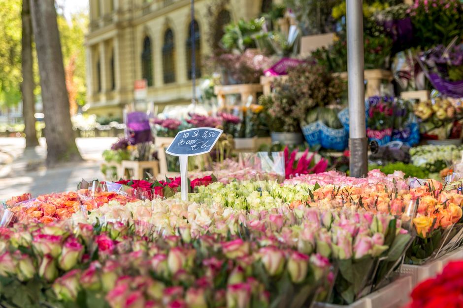 An outdoor flower stall featuring a vibrant array of fresh roses in shades of pink, peach, and cream, arranged in bouquets and wrapped in clear plastic. The flowers are displayed on a wooden table ben